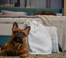 ΚΑΛΥMΜΑ  MEDIA STROM PET FRIENDLY  120 X 200